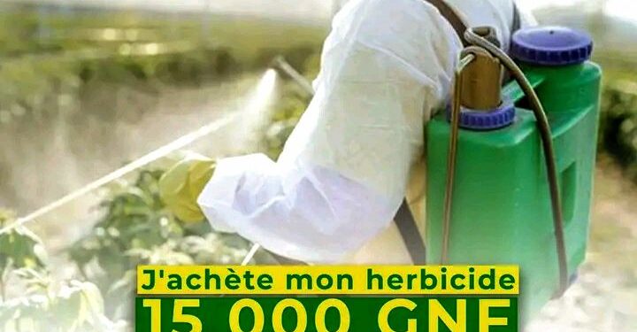 Guinée : Lancement de la campagne agricole 2026-2027 Accès facilité aux herbicides subventionnés