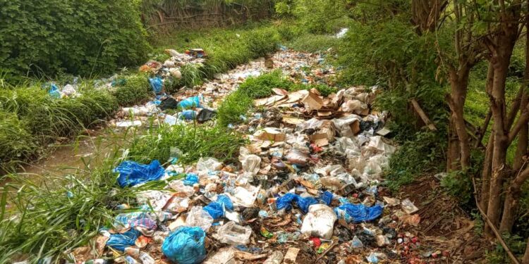 🇬🇳Insalubrité persistante au pont de Kimbely : Mamou face au défi du civisme