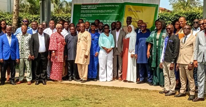 ENERGIE SOLAIRE/ Guinée : Tenue d&rsquo;un atelier national multipartite sur les défis et opportunités du financement de la transition énergetique.
