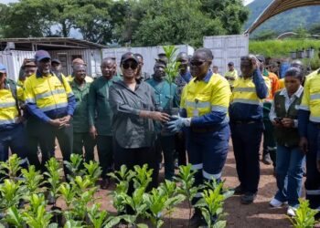 Guinée : Visite de la ministre de l&rsquo;Environnement et du Développement Durable sur le site minier de Simandou à Beyla