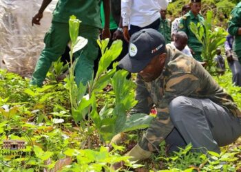Campagne de reboisement à Conakry : Un acte concret pour la résilience écologique