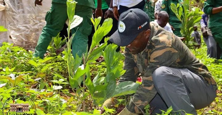 Campagne de reboisement à Conakry : Un acte concret pour la résilience écologique