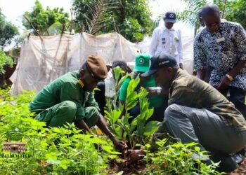 Conakry : Ratoma, une Commune engagée pour l&rsquo;environnement et le bien-être des citoyens