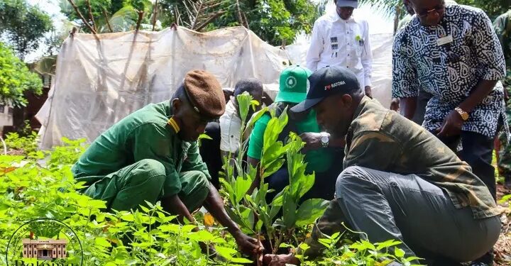 Conakry : Ratoma, une Commune engagée pour l&rsquo;environnement et le bien-être des citoyens