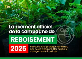 Guinée : Lancement officiel de la campagne de reboisement 2025