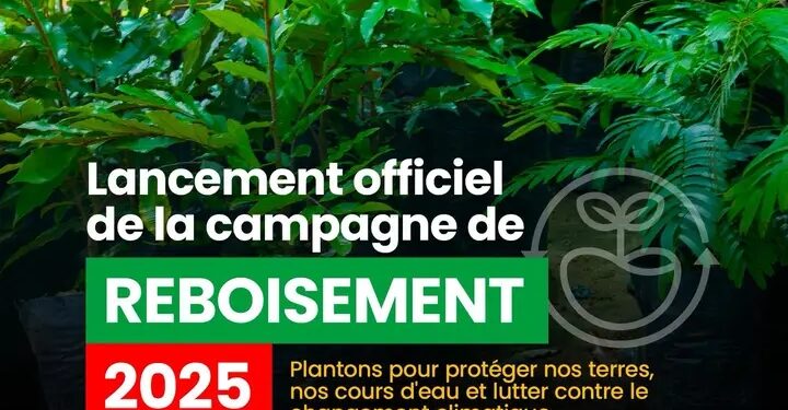 Guinée : Lancement officiel de la campagne de reboisement 2025