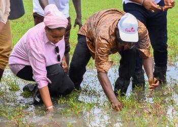 Conakry : La Ministre de l’Environnement, Djami Diallo donne le coup d&rsquo;envoi de la Campagne Nationale de Reboisement 2025.