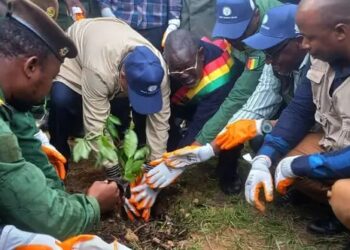 L’élan national de la campagne de reboisement s’étend à la région de Labé. Sous l’impulsion de la Ministre Djami Diallo, le MEDD déploie ses cadres et agents sur le terrain