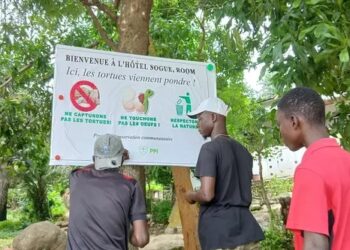 Îles de Loos : une mobilisation écologique portée par Green Transformation2050