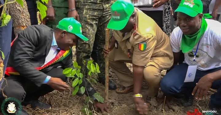 Reboisement 2025 en Guinée : Un engagement national pour restaurer nos forêts