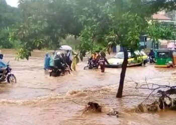 Alerte Innovation : Circulation perturbée à Conakry
