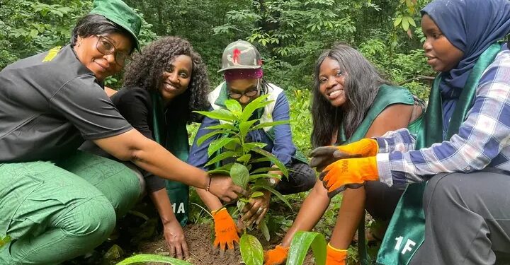Guinée-Protection de l&rsquo;environnement : Lancement du projet « une femme, un arbre » par AWLN ET REFAMP