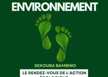 Conakry/Paris : Le Festi Environnement en préparation pour promouvoir l&rsquo;action écologique