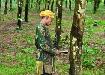Étape de Diécké : Visite de travail et inspection des installations de la SOGUIPAH