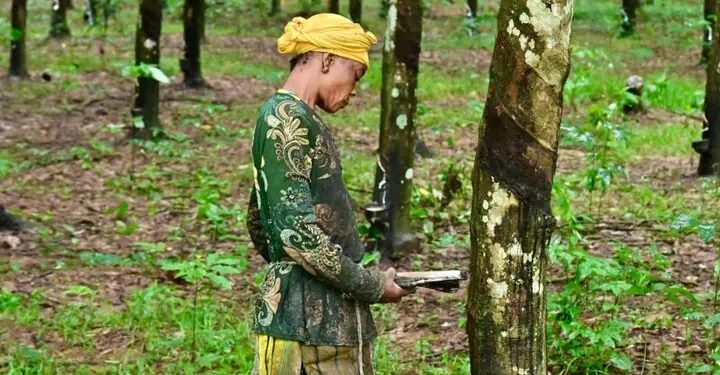 Étape de Diécké : Visite de travail et inspection des installations de la SOGUIPAH