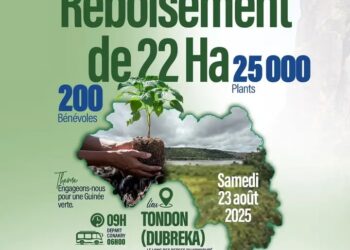 Club Rotary de Conakry : Cap sur 25 000 plantations à Dubréka pour une Guinée plus verte