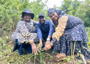 Lutte contre le réchauffement climatique en Guinée : Les femmes s&rsquo;engagent à Fria