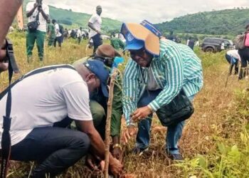 Reboisement à Tondon : Le Rotary Club Conakry doyen agit pour une Guinée plus verte