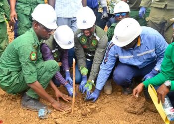 Guinée / Reboisement : Le Secteur Minier engagé pour restaurer 21,45 hectares à Yemberin, Boffa