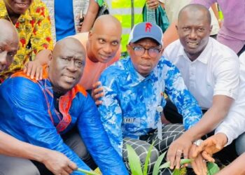 Campagne de reboisement à Matam : Touguiwondy donne le coup d’envoi de la première édition