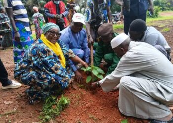 Conakry / Île de Kassa : Le projet « Une femme, un arbre » prend de l’ampleur