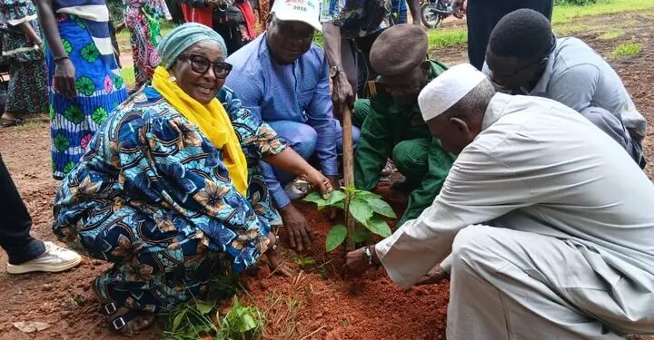 Conakry / Île de Kassa : Le projet « Une femme, un arbre » prend de l’ampleur