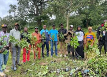 Guinée / Environnement : Le Sous-préfet de Sandénia initie une vaste opération de reboisement