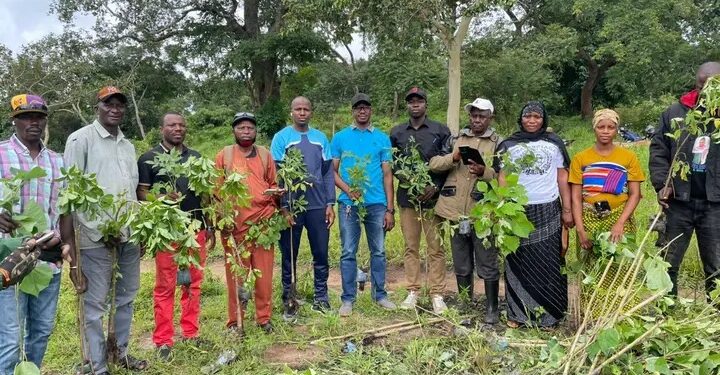 Guinée / Environnement : Le Sous-préfet de Sandénia initie une vaste opération de reboisement
