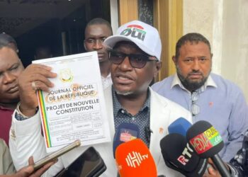 Guinée : Guillaume Hawing, ex-ministre, éclaire les enjeux du projet de nouvelle Constitution