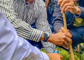 Guinée / Environnement : Un acte écologique en parallèle de la campagne référendaire