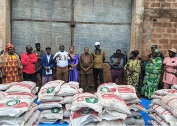 Appui en engrais aux producteurs sinistrés : Un geste fort pour relancer l’agriculture en Guinée