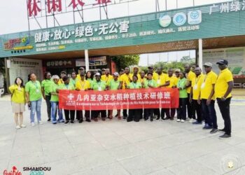Coopération Sino-Guinéenne : Un séminaire sur le riz hybride pour dynamiser l’agriculture