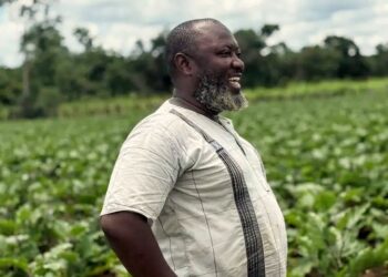 Agriculture en Guinée : M. Kaba Fodé Mamoudou, un exemple inspirant de dévouement agricole