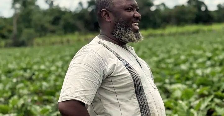 Agriculture en Guinée : M. Kaba Fodé Mamoudou, un exemple inspirant de dévouement agricole