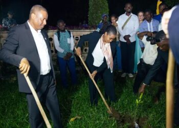 Guinée – Environnement : 10ᵉ Journée du Volontariat Français célébrée sous le thème « Un volontaire, un arbre »