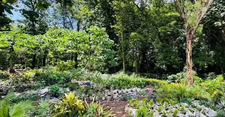 Guinée : Lancement des futurs Parcs Urbains de Loisirs