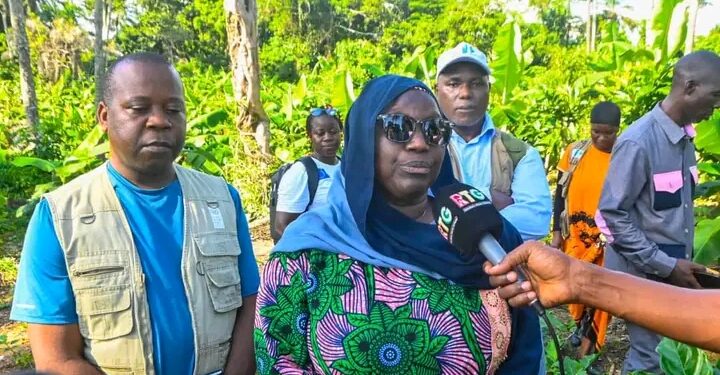 Guinee / Climat : Le MEDD et le PNUD passent en revue les projets de résilience communautaire