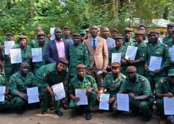 Guinée : Le ministère de l&rsquo;Environnement renforce la lutte contre le criminalité environnementale