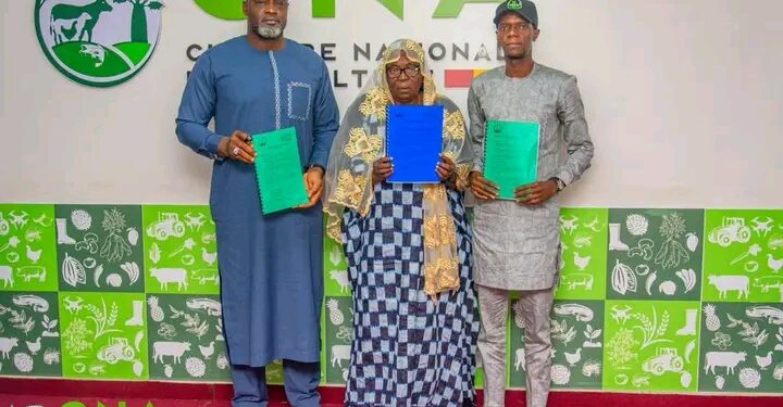 Secteur agricole en Guinée : Un partenariat stratégique pour dynamiser le maraîchage à Bordo