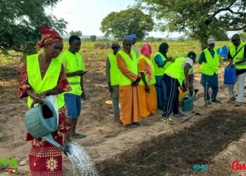 Guinée : La Chambre Nationale d’Agriculture appuie l’innovation paysanne à Koundara