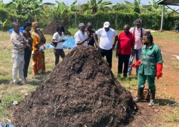 Conakry mise sur la valorisation des déchets organiques