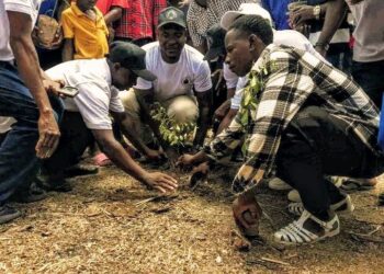 Guinée : Une mobilisation citoyenne contre la désertification
