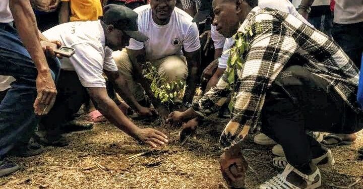 Guinée : Une mobilisation citoyenne contre la désertification