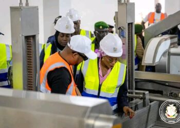 Industrie / PME – Relance industrielle : Vers la transformation de la pomme de terre en frites surgelées