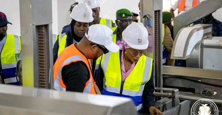 Industrie / PME – Relance industrielle : Vers la transformation de la pomme de terre en frites surgelées