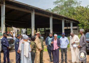 Industrie–PME / Relance industrielle : Valorisation du site de l’ancienne USOA de Mamou