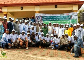 Guinée : Vers la création de la CONAFOG, les acteurs de la filière forestière s’unissent