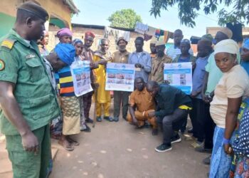 Haute-Guinée : Les communautés se mobilisent pour sauver les vautours