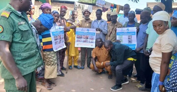 Haute-Guinée : Les communautés se mobilisent pour sauver les vautours