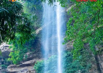 Tourisme mémoriel : Les héritiers du Prince Abdourahmane Barry en visite au Voile de la Mariée